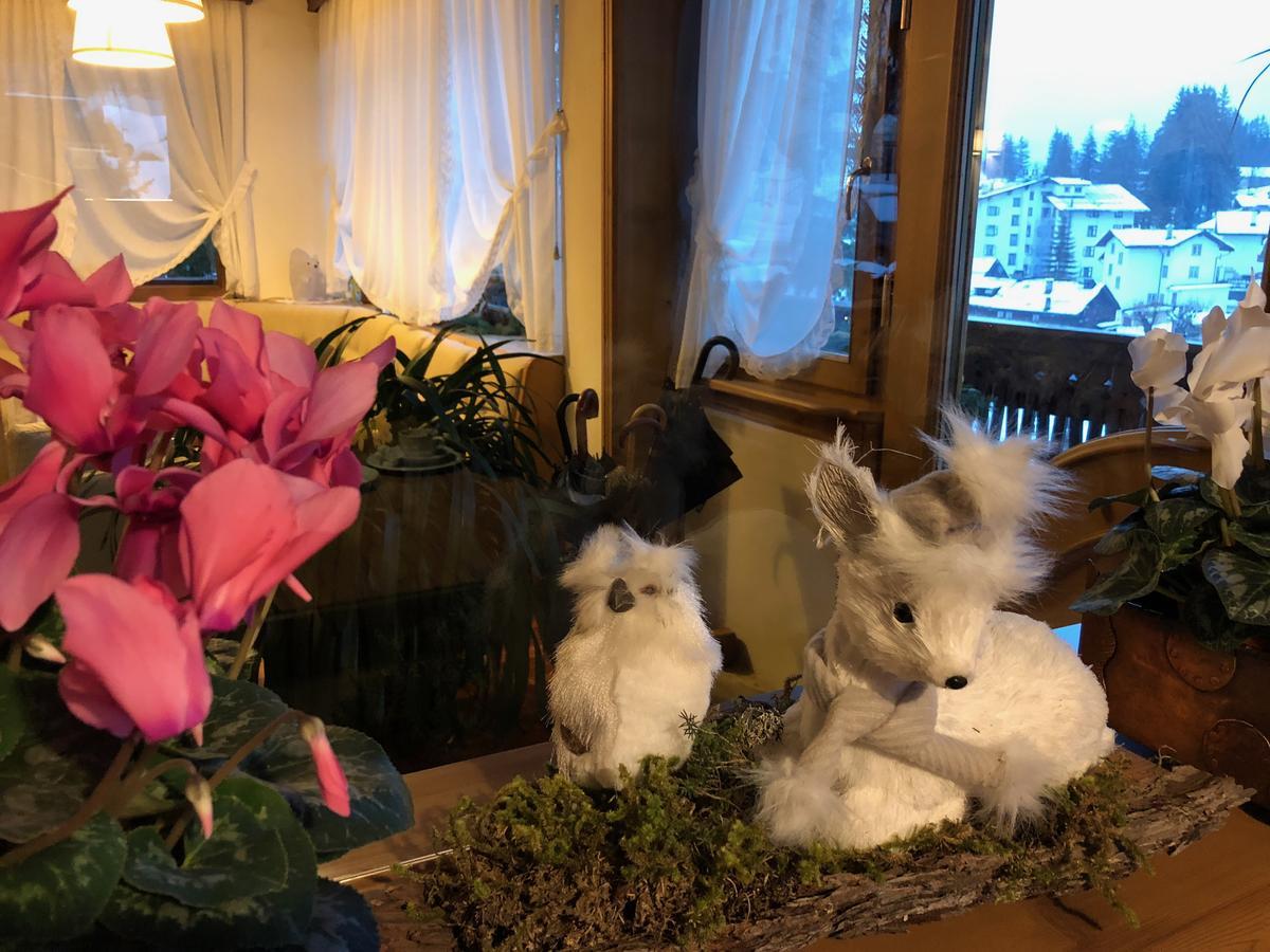 Hotel Villa Nevada Cortina dʼAmpezzo Dış mekan fotoğraf
